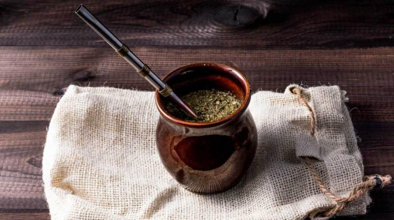 Trà yerba mate