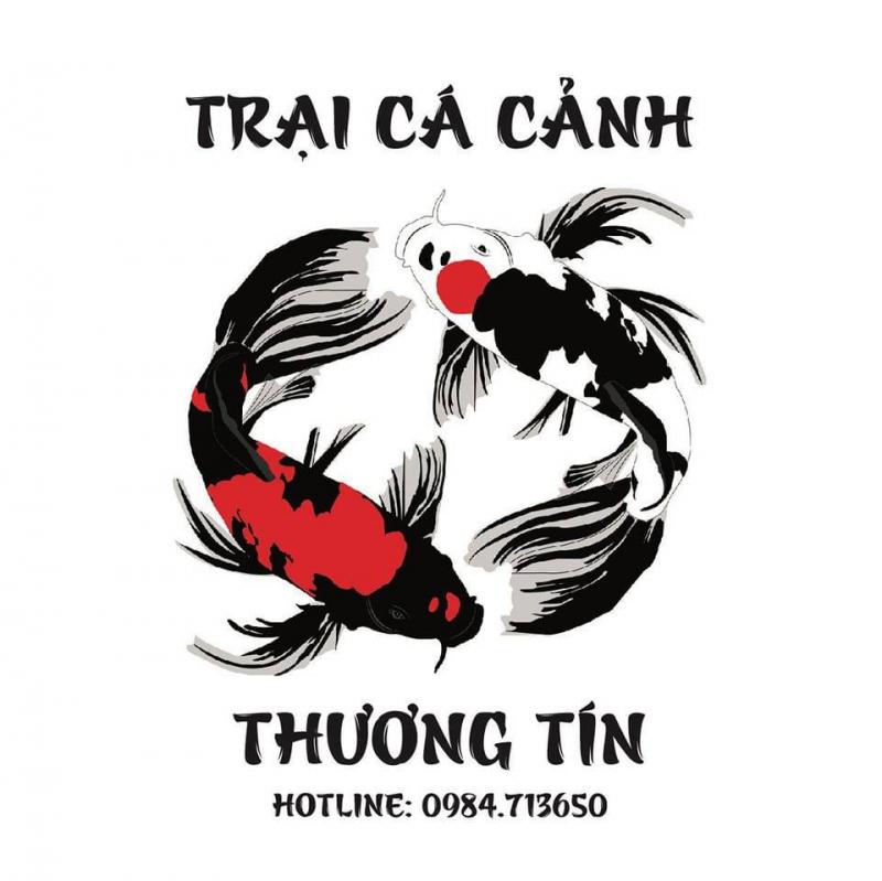 Trại Cá Koi Thương Tín Phú Yên