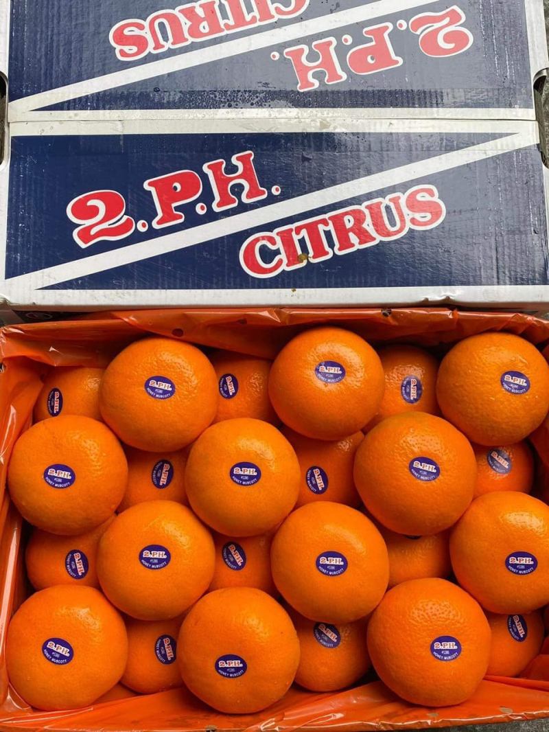 Trái Cây Nhập Khẩu - Bill Fruit