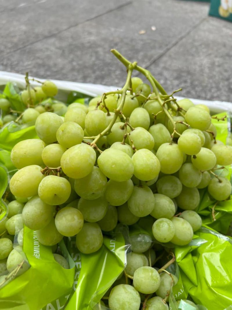 Trái Cây Nhập Khẩu - Bill Fruit