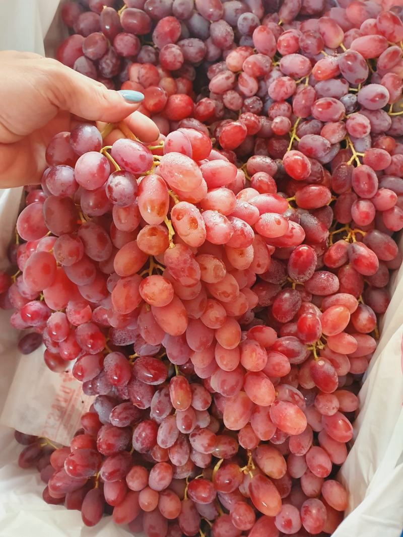 Trái cây Việt - Trái cây Ngoại Nhập Quy Nhơn