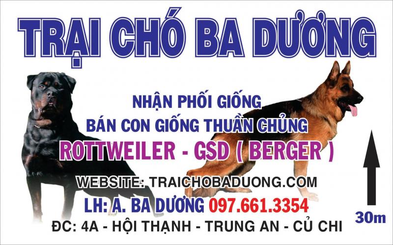 Trại chó Ba Dương