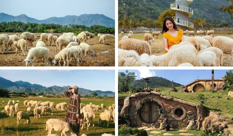Trải nghiệm cảm giác của dân du mục
