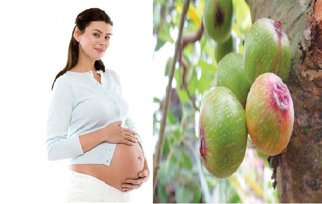 Trái sung thần dược với bà bầu