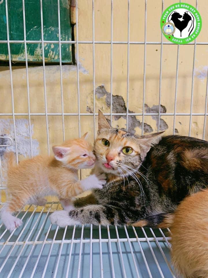 Trạm cứu hộ động vật Nông Nghiệp Hà Nội