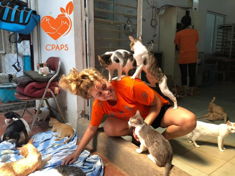 Trạm cứu hộ chó mèo Hà Nội - Center of Pet Animal Protections and Studies