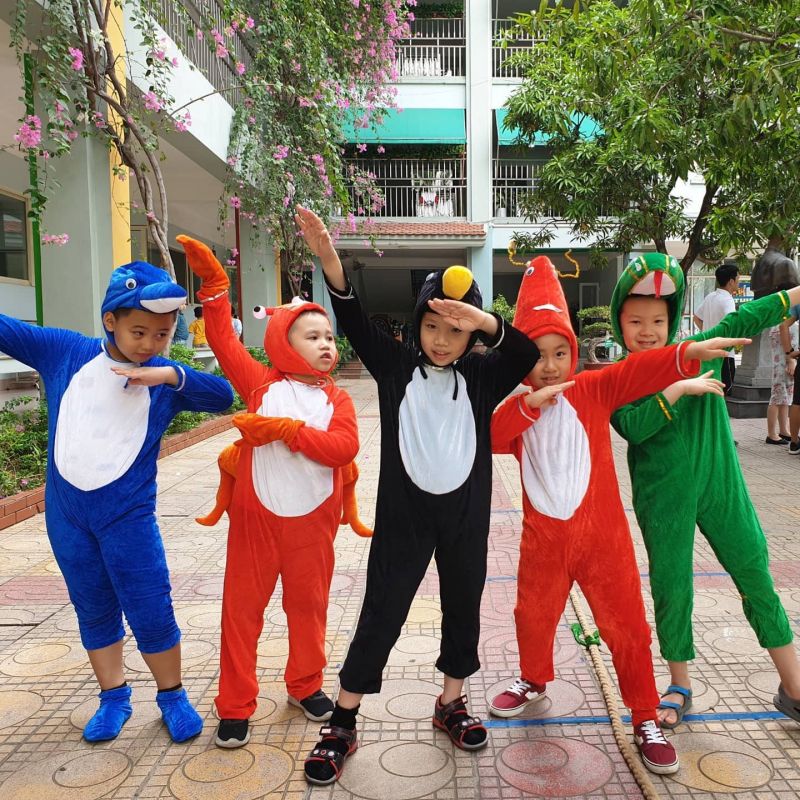 Trang phục biểu diễn Ấn Tượng