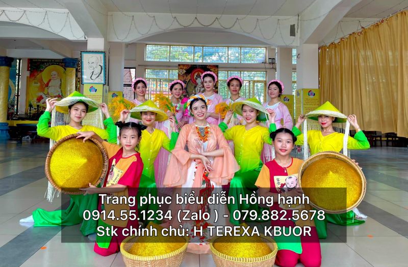 Trang Phục Biểu Diễn Hồng Hạnh