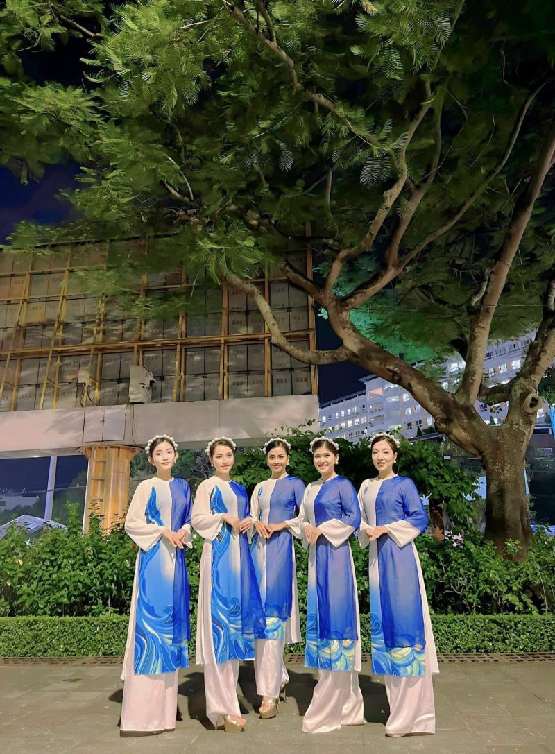 Trang phục biểu diễn Vân Anh
