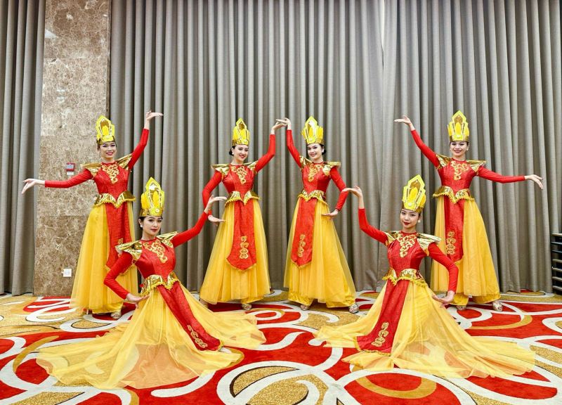 Trang phục biểu diễn Vân Anh