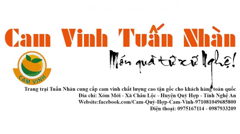 Trang Trại Cam Quỳ Hợp - Cam Vinh Tuấn Nhàn