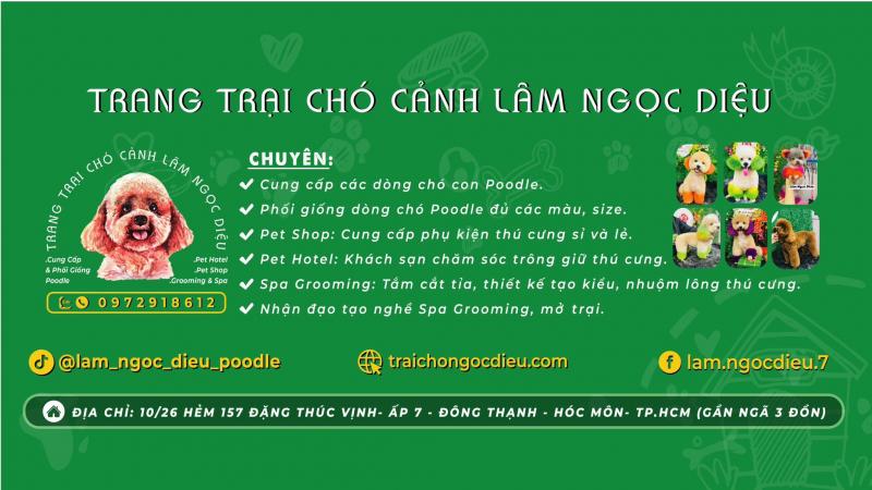 Trang Trại Chó Cảnh Lâm Ngọc Diệu