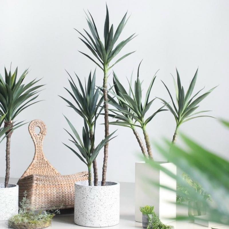 Trang Trí Nội Thất Kiến Nam
