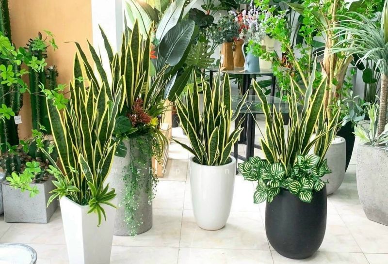 Trang Trí Nội Thất Kiến Nam