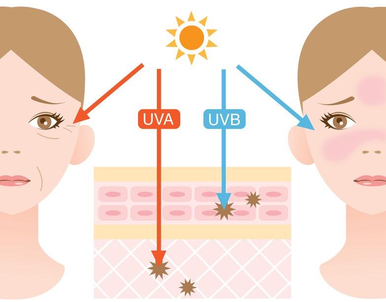Tránh tiếp xúc với các tia bức xạ