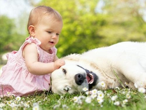 Đừng để trẻ một mình với những con vật cưng trong nhà bạn