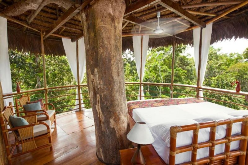 Treehouse Lodge Resort