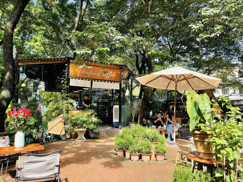 Treeland Coffee
