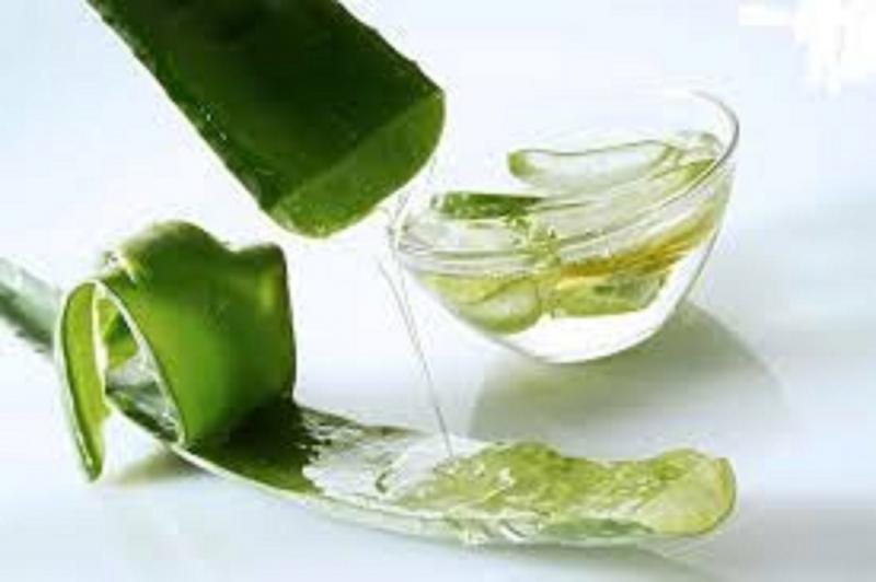 Lá nha đam giúp giải nhiệt, nguyên liệu  trị mụn từ thiên nhiên vô cùng mới lạ, hữu ích.