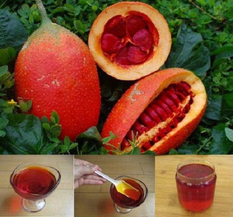 Trị nám hiệu quả bằng dầu gấc