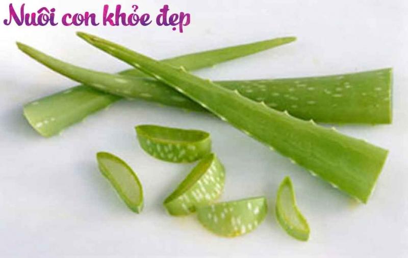 Lô hội còn gọi là nha đam
