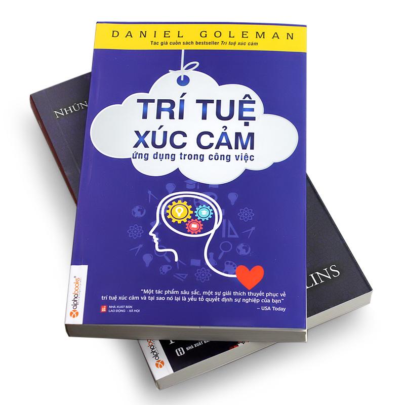Trí Tuệ Cảm Xúc Ứng Dụng Trong Công Việc
