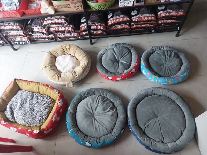 Trinh pet shop