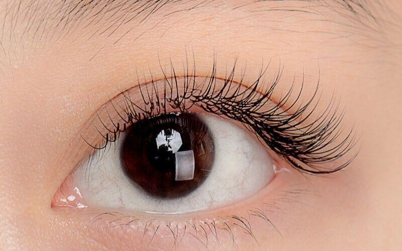 Lin Beauty Lash