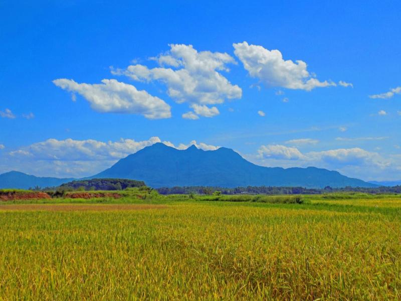 Trở lại Ba Vì