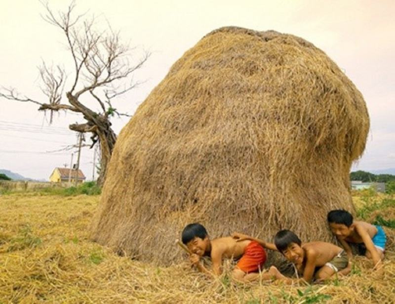 Trốn tìm