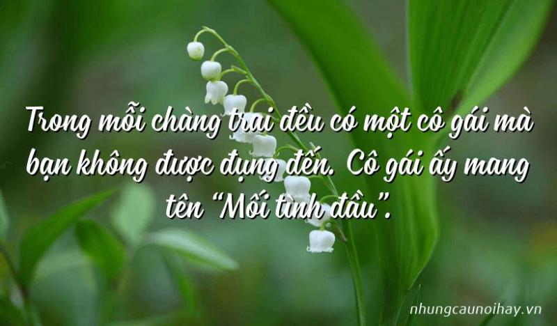 Mối tình đầu