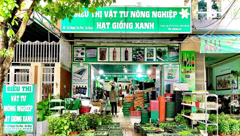 Trồng Rau Tại Nhà - Đà Nẵng