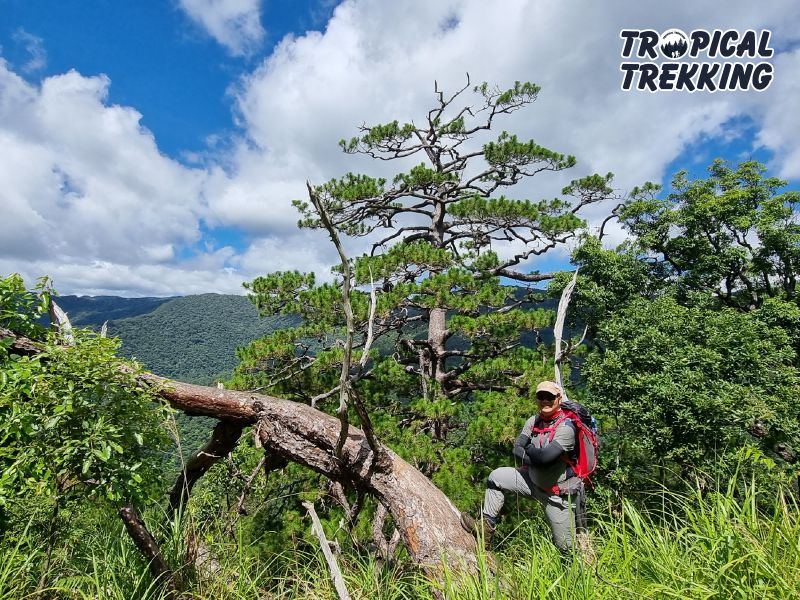 Tropical Trekking