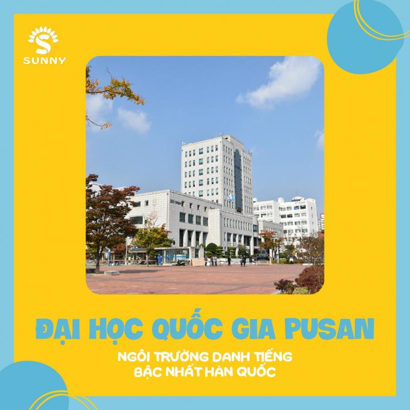 Trung tâm Du học Hàn Quốc Sunny