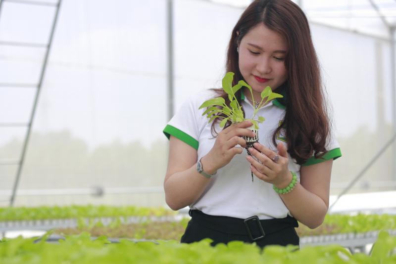Trung tâm giống cây trồng Công nghệ cao Việt Nam