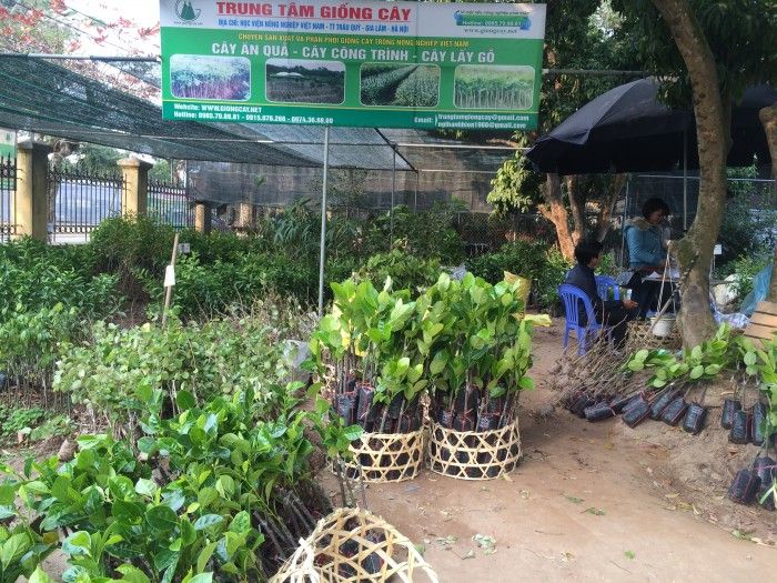 Trung tâm giống cây trồng - Đại học Nông nghiệp 1