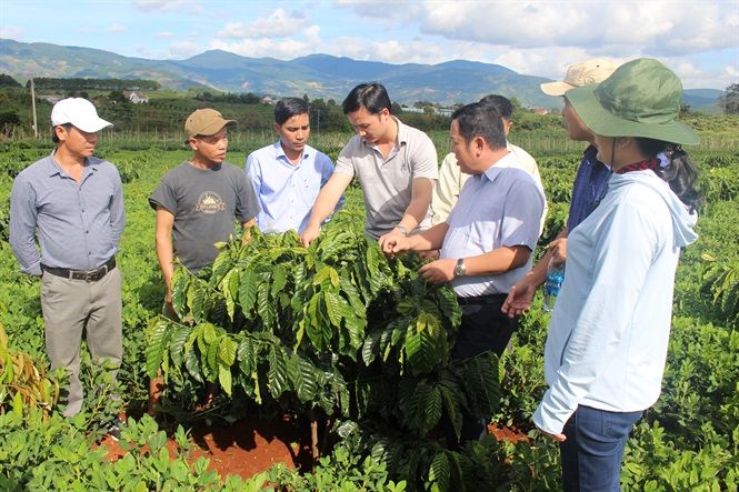 Trung tâm Khuyến nông Quốc gia