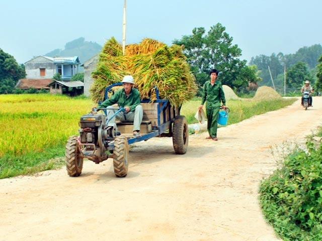 Trung tâm Khuyến nông Quốc gia