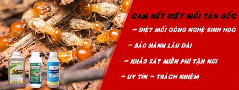 Trung Tâm Kiểm Soát Côn Trùng Tây Nguyên