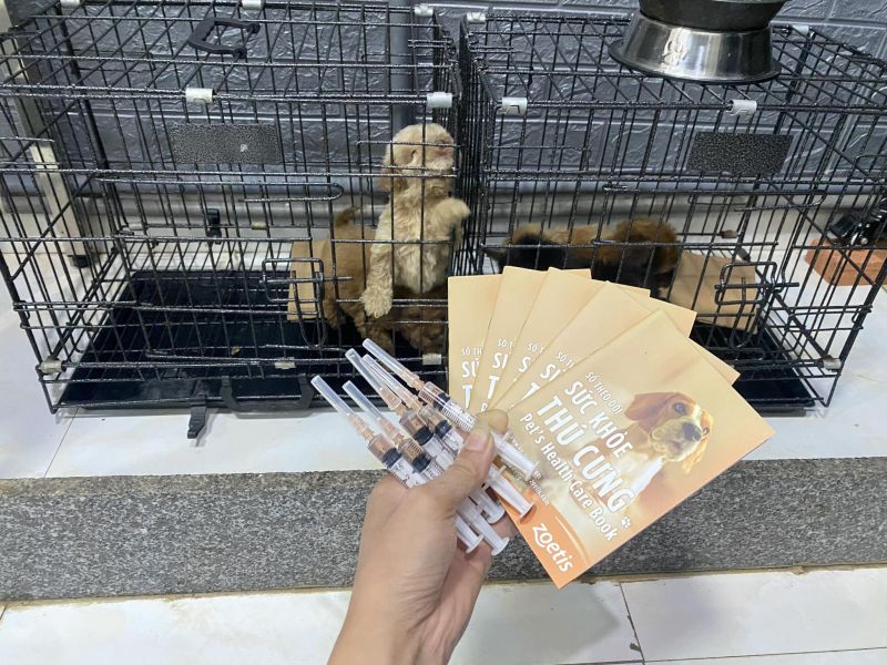 Trung Tâm Thú Cưng Tam Kỳ Pet