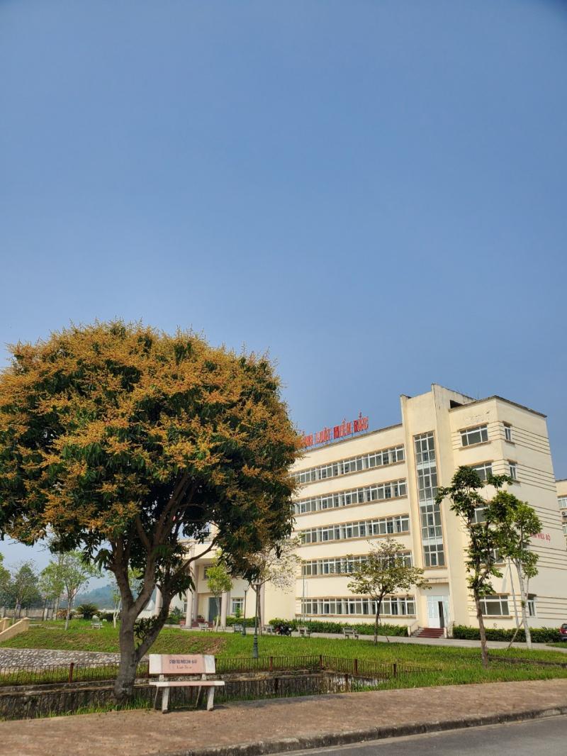 Trường Cao đẳng Luật miền Bắc