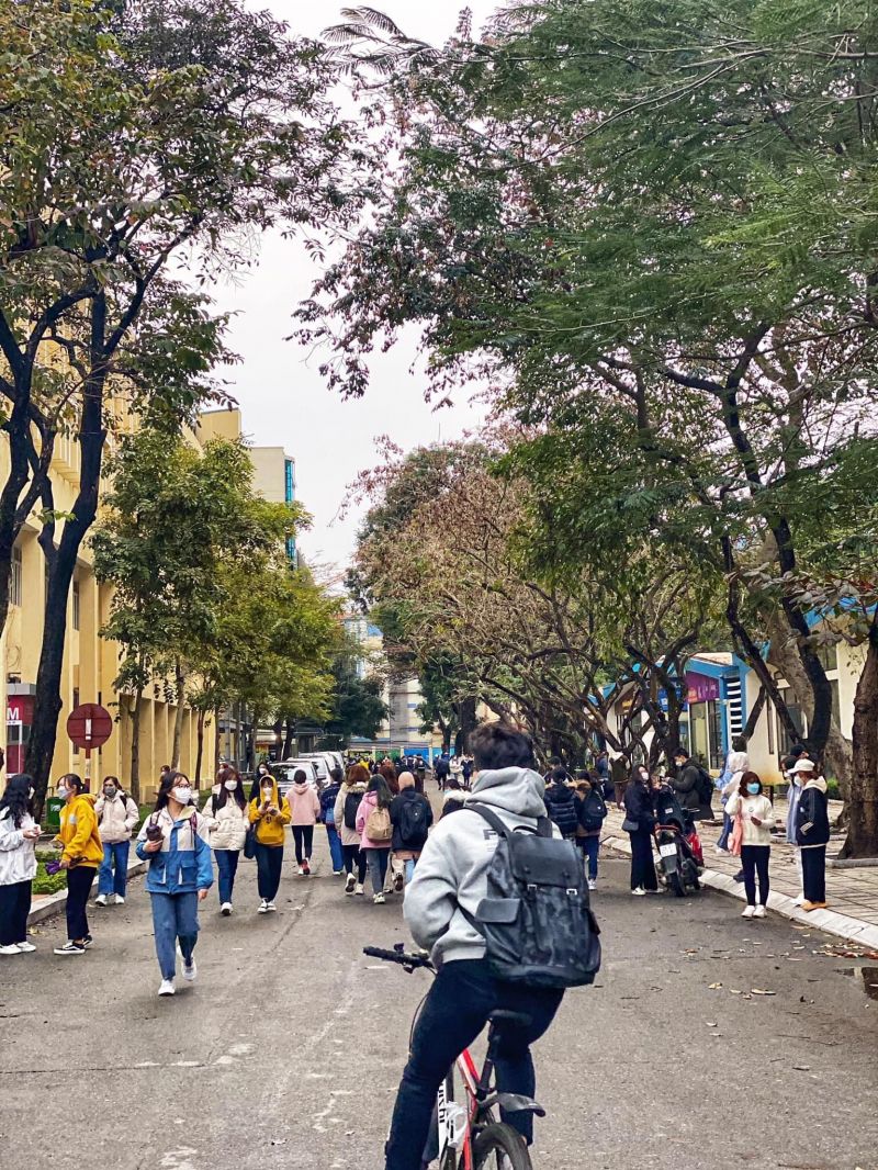 Trường Đại học Sư phạm Hà Nội