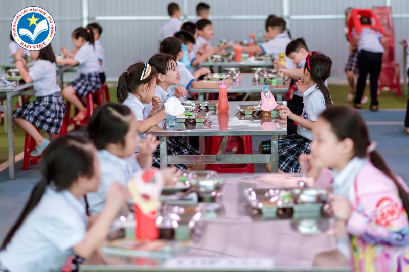 Trường Liên Cấp Mầm Non - Phổ Thông Sao Việt
