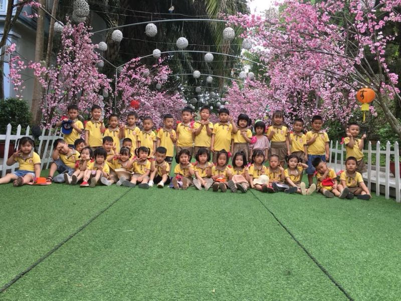 Trường MẦM NON HOA BAN