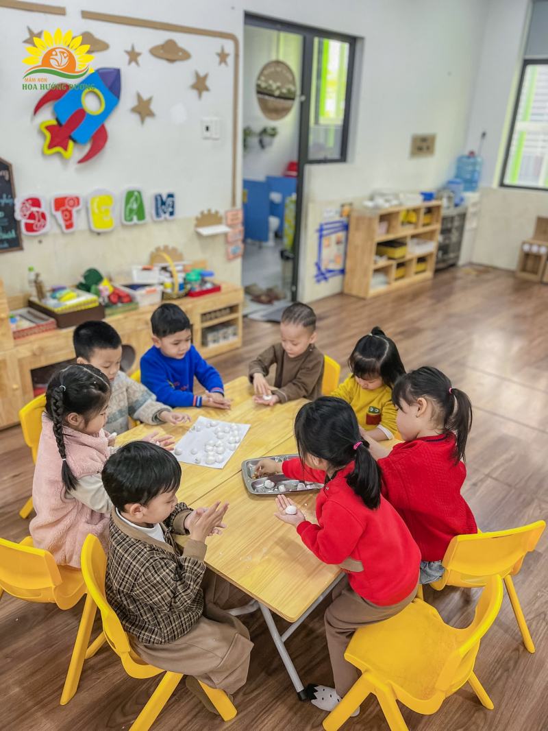 Trường mầm non Hoa Hướng Dương