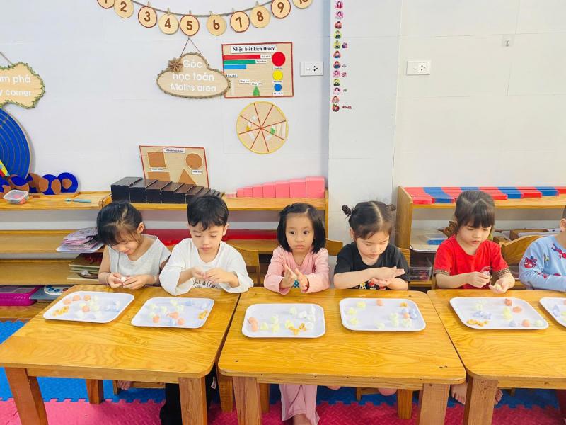 Trường Mầm Non Hoa Sen