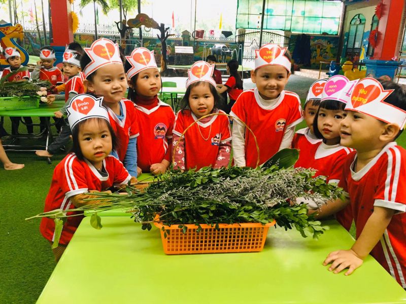 Trường Mầm Non Hoa Trạng Nguyên