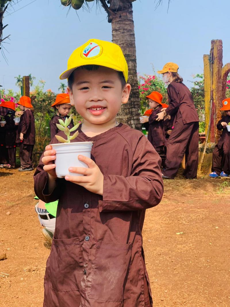 Trường Mầm non Hoa Việt Nguyên