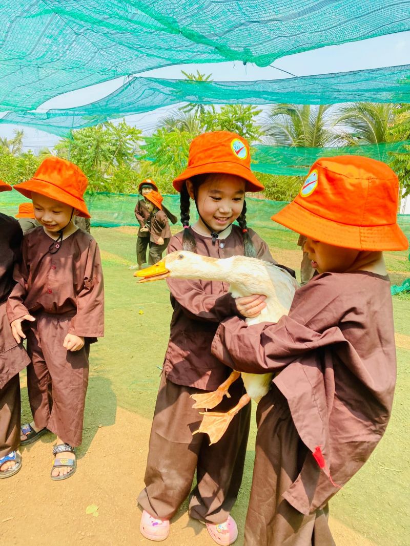 Trường Mầm non Hoa Việt Nguyên