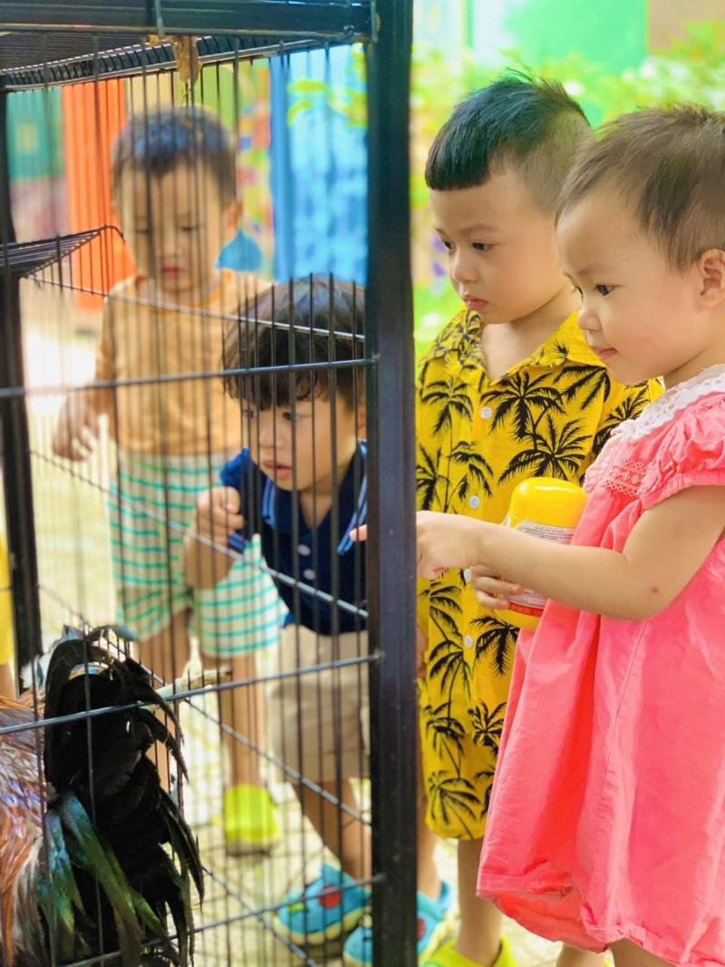 Trường Mầm non Học viện Thiên Thần